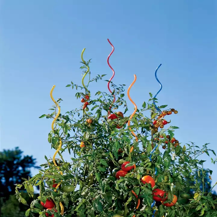 Espiral de cultivo de tomate/fio de suporte de planta/fio de espiral de tomate