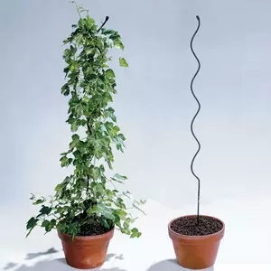 Espiral de cultivo de tomate/fio de suporte de planta/fio de espiral de tomate