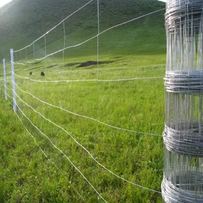 Cerca de campo galvanizada para gado ovelha cavalo