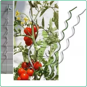 Suporte de estacas espirais de fio de metal espiral Tomate